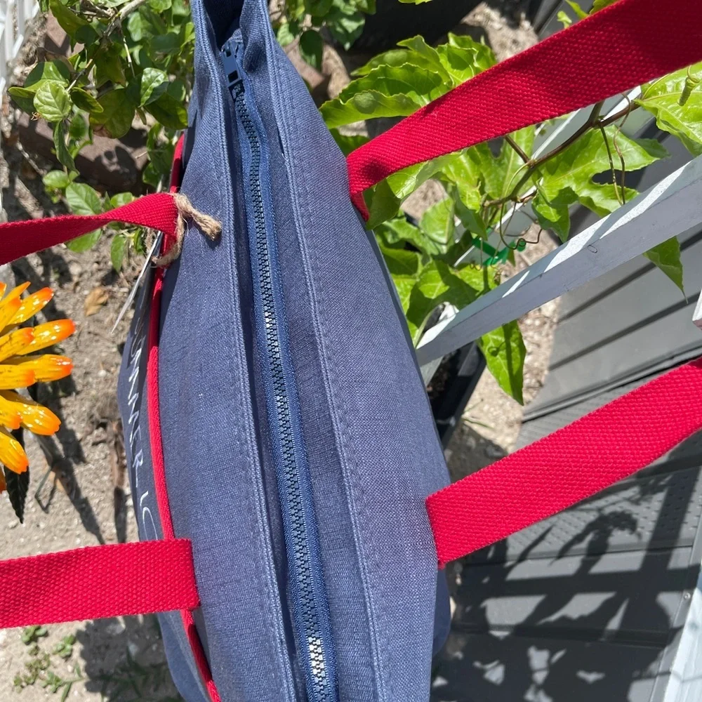 RAE DUNN Summer Love Watermelon Blue/Red Insulated Tote - Picture 4 of 13